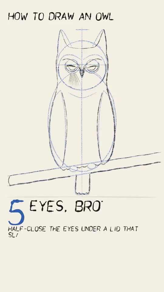 "How do you draw an owl?" answered as a drawing lesson thumbnail